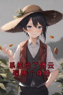 系统给了傅云琛两个身份