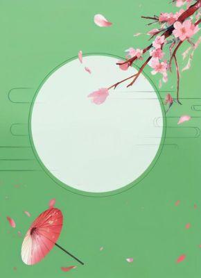 替身王妃：镇北王的心尖宠